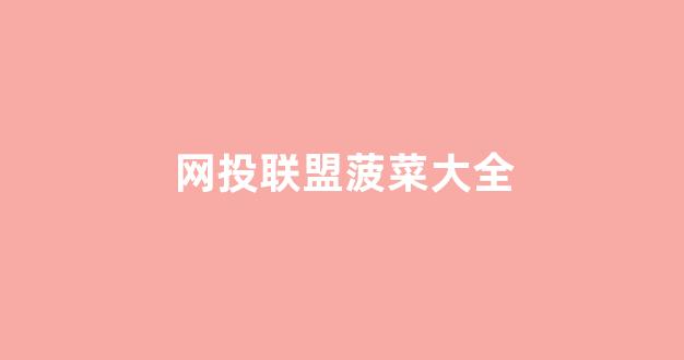 2024最新菠菜网