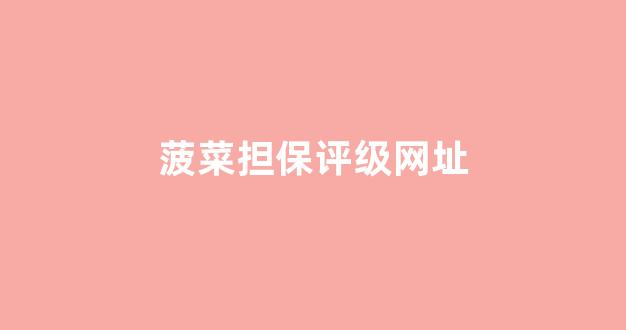 2024菠菜网