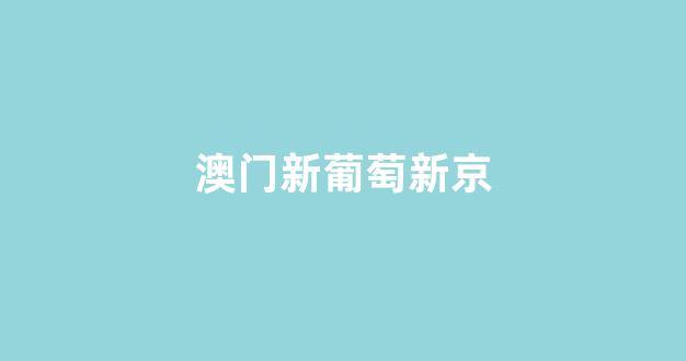 菠菜讨论群